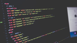 新系統(tǒng)開(kāi)發(fā)